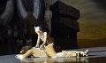 Lionking 0244
